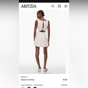 Aritzia Babaton Spectre dress